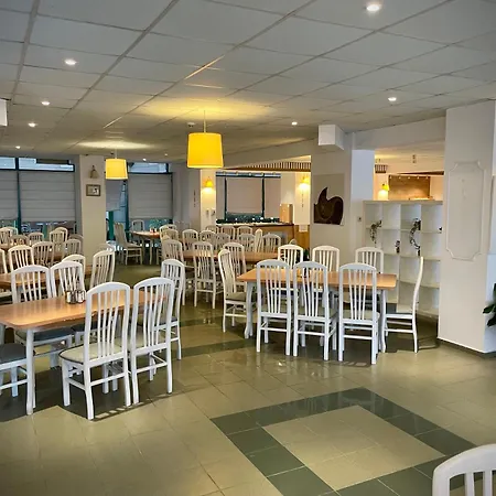 Delfin ساني بيتش