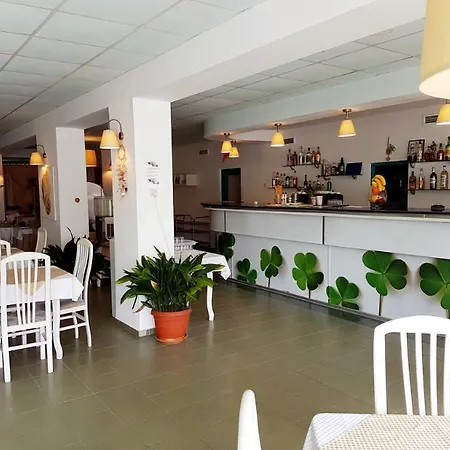 Hotel Delfin 3*