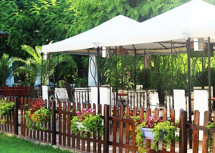 Delfin Отель Несебр