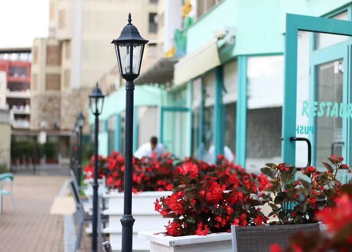 Delfin Отель 3*