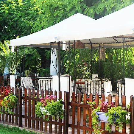 Delfin Hotel Słoneczny Brzeg