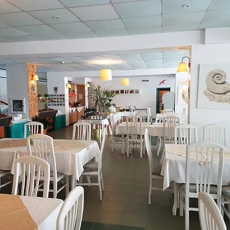 Delfin 3* Słoneczny Brzeg