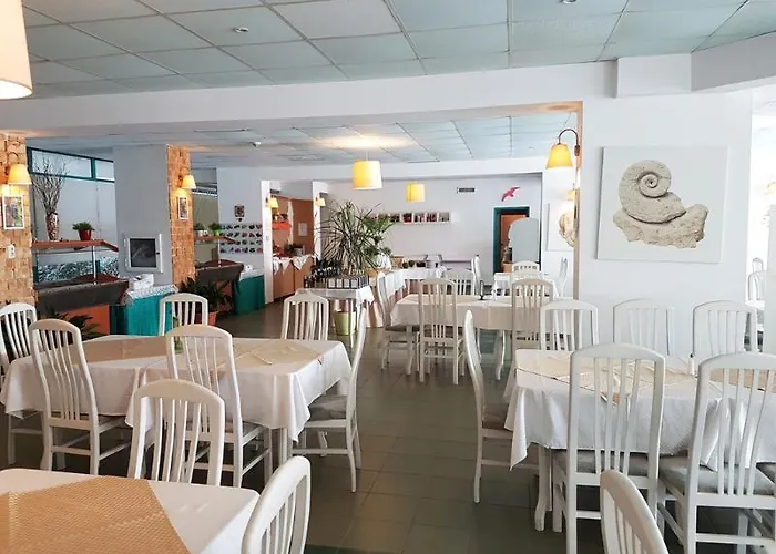 Delfin 3* ネセバル